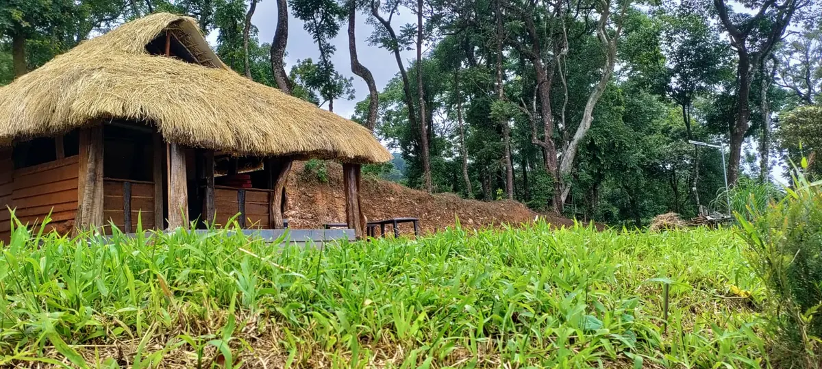 Jungle wood hut with a hay roof
